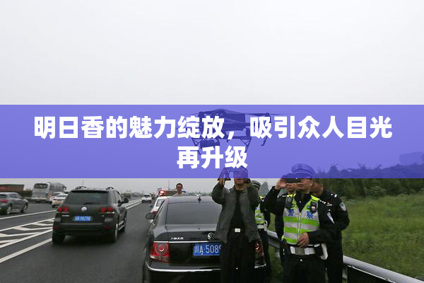明日香的魅力绽放，吸引众人目光再升级