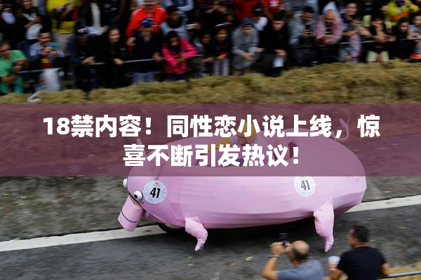 18禁内容！同性恋小说上线，惊喜不断引发热议！