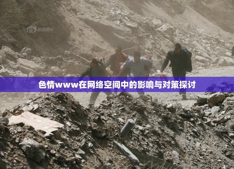 色情www在网络空间中的影响与对策探讨