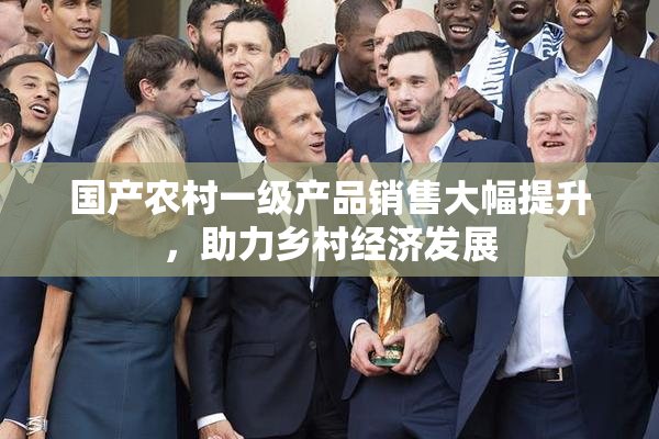 国产农村一级产品销售大幅提升，助力乡村经济发展