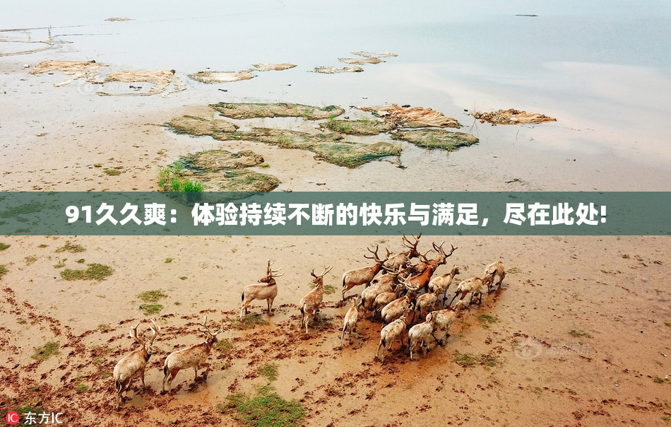 91久久爽：体验持续不断的快乐与满足，尽在此处!
