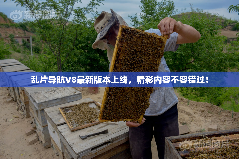 乱片导航V8最新版本上线，精彩内容不容错过！