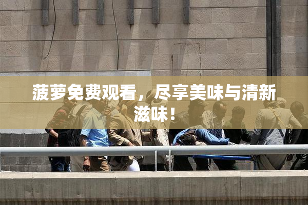 菠萝免费观看，尽享美味与清新滋味！