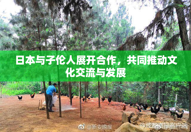 日本与子伦人展开合作，共同推动文化交流与发展