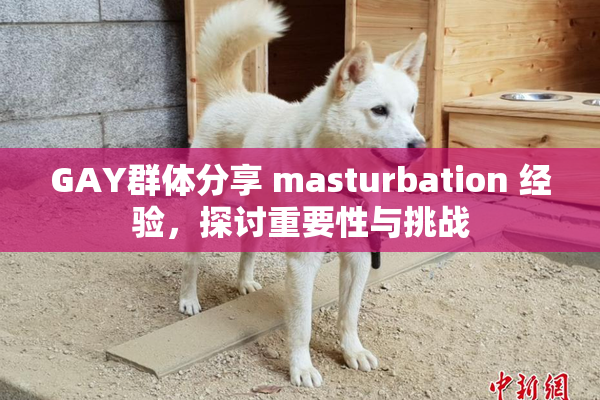 GAY群体分享 masturbation 经验，探讨重要性与挑战