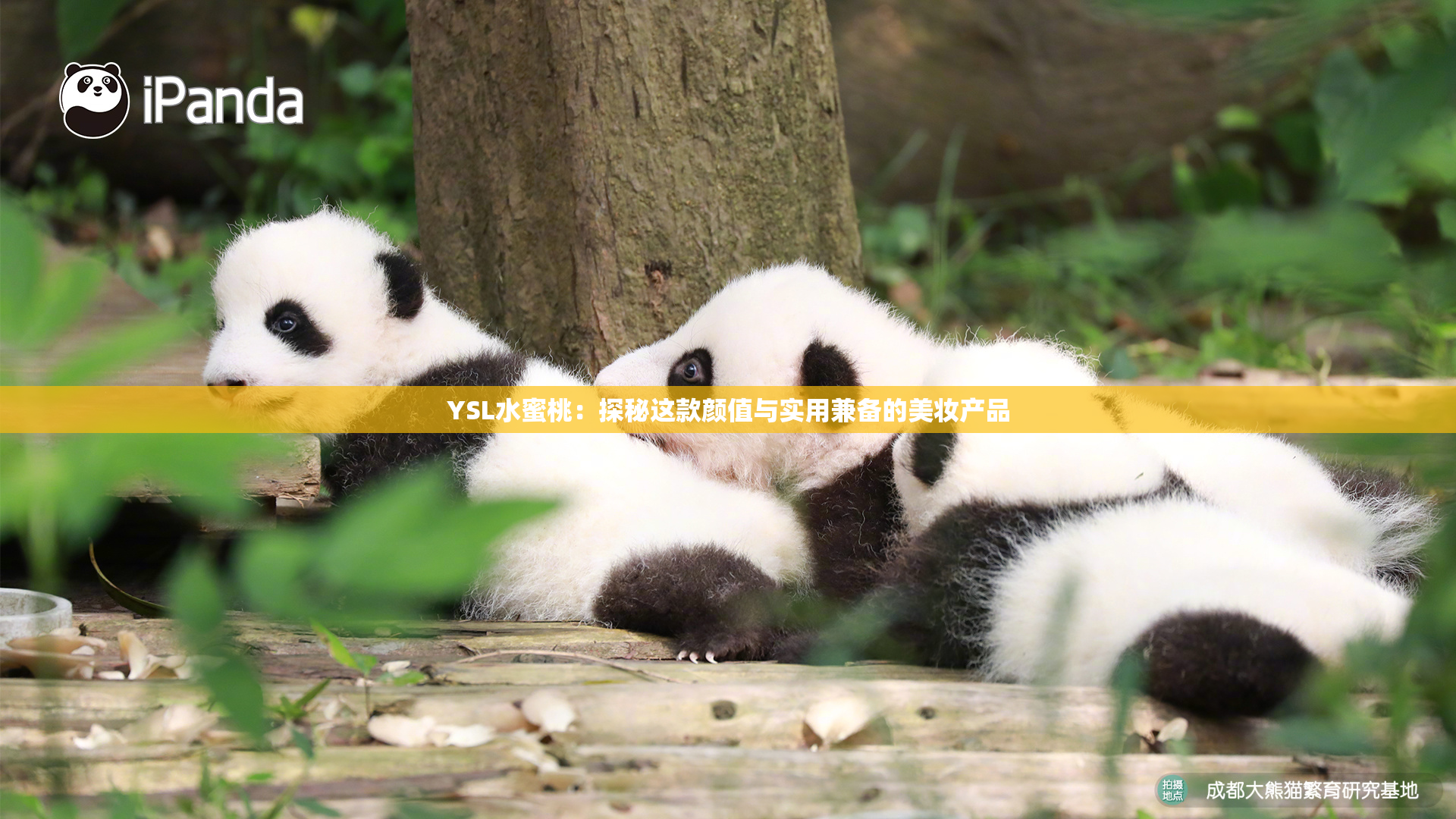YSL水蜜桃：探秘这款颜值与实用兼备的美妆产品