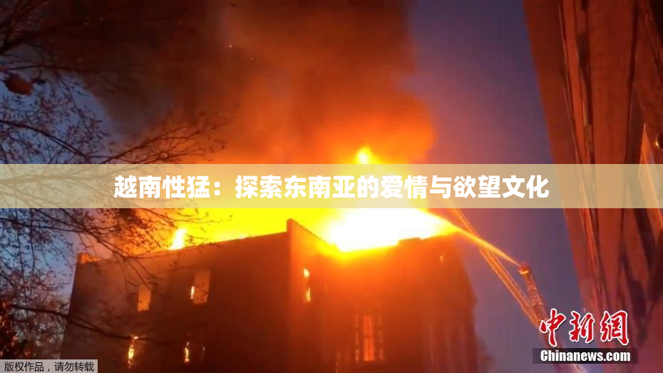 越南性猛：探索东南亚的爱情与欲望文化