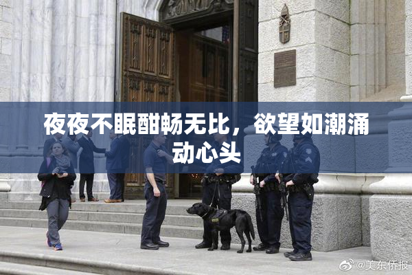 夜夜不眠酣畅无比，欲望如潮涌动心头