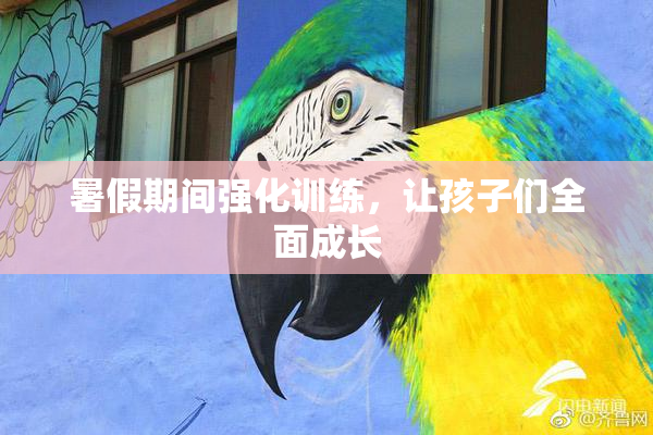 暑假期间强化训练，让孩子们全面成长