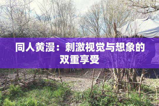 同人黄漫：刺激视觉与想象的双重享受