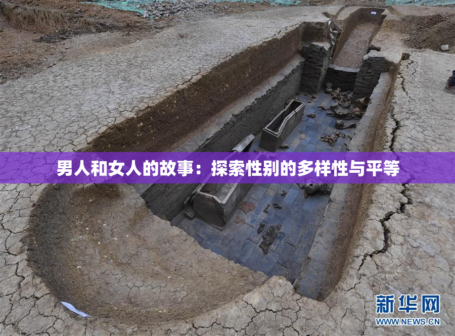 男人和女人的故事：探索性别的多样性与平等