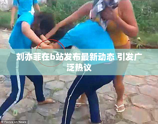 刘亦菲在b站发布最新动态 引发广泛热议