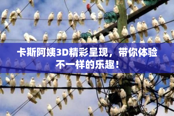 卡斯阿姨3D精彩呈现，带你体验不一样的乐趣！