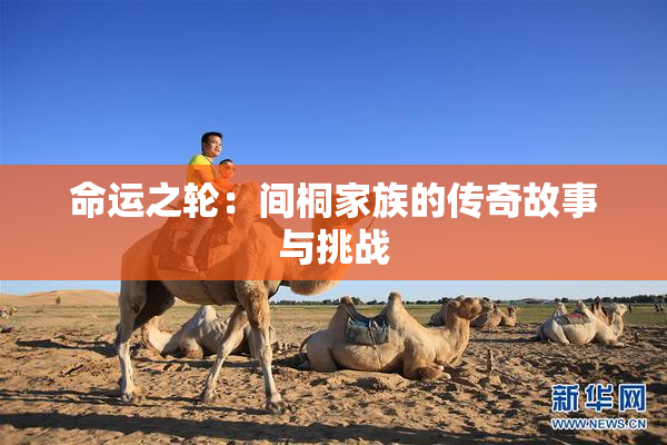 命运之轮：间桐家族的传奇故事与挑战