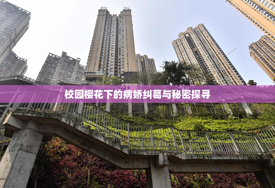 校园樱花下的病娇纠葛与秘密探寻