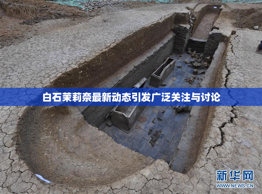 白石茉莉奈最新动态引发广泛关注与讨论