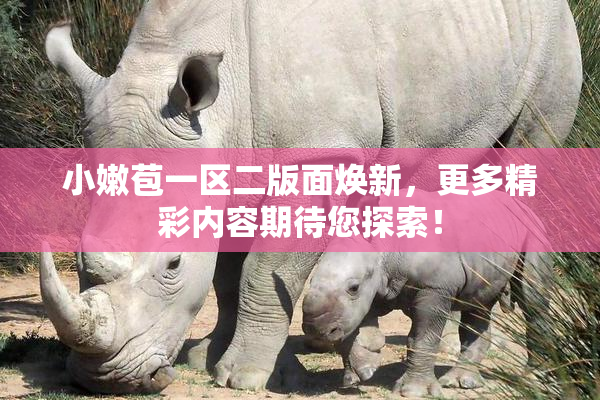 小嫩苞一区二版面焕新，更多精彩内容期待您探索！