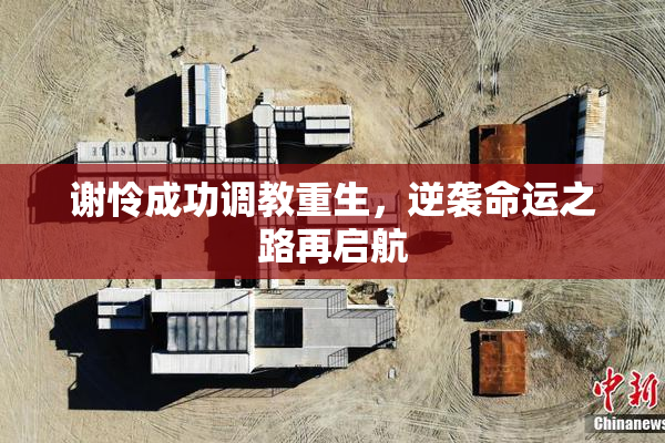 谢怜成功调教重生，逆袭命运之路再启航