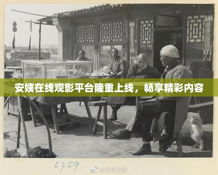 安姨在线观影平台隆重上线，畅享精彩内容