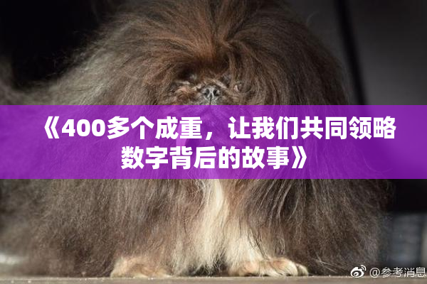 《400多个成重，让我们共同领略数字背后的故事》