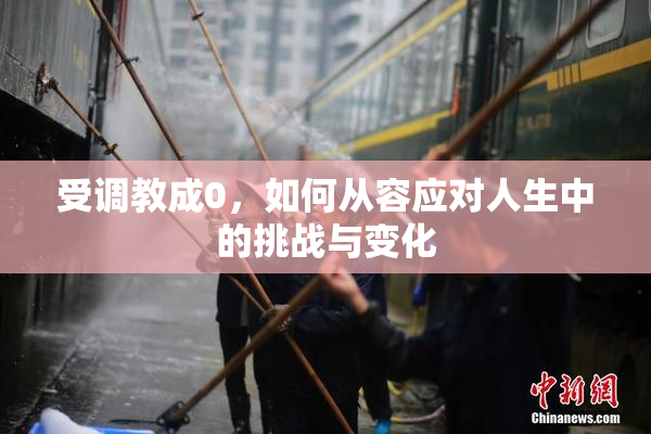受调教成0，如何从容应对人生中的挑战与变化