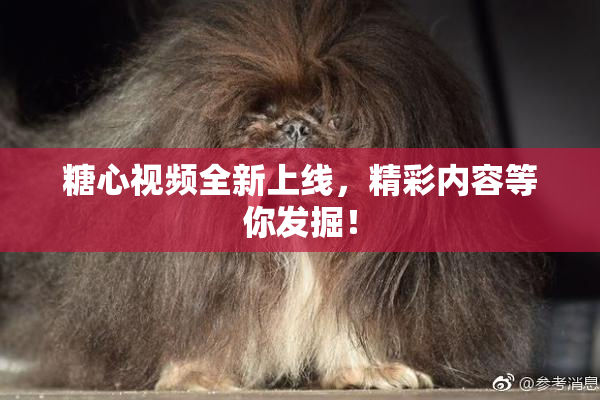 糖心视频全新上线，精彩内容等你发掘！