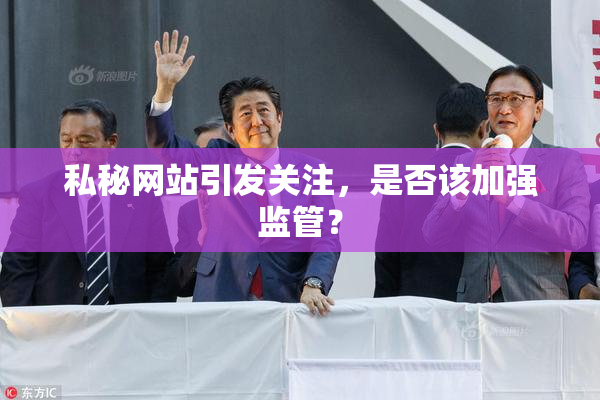 私秘网站引发关注，是否该加强监管？