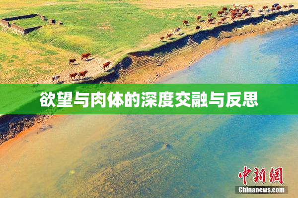 欲望与肉体的深度交融与反思