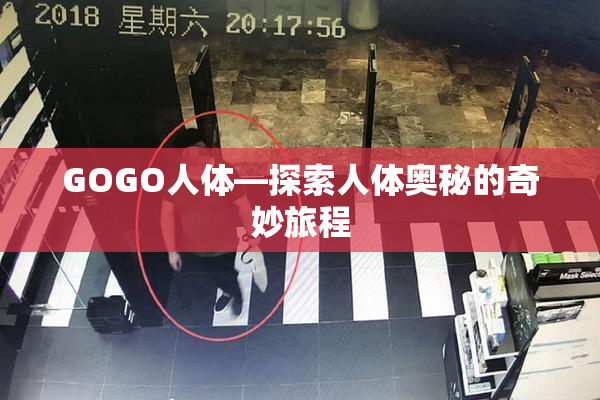 GOGO人体—探索人体奥秘的奇妙旅程