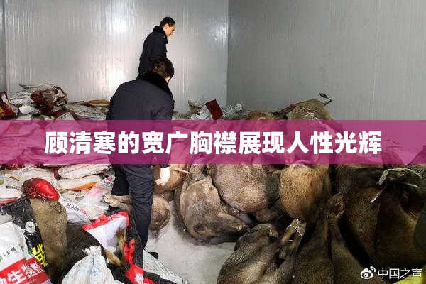 顾清寒的宽广胸襟展现人性光辉