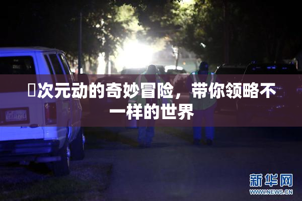 囧次元动的奇妙冒险，带你领略不一样的世界