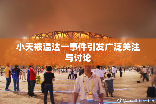 小天被温达一事件引发广泛关注与讨论