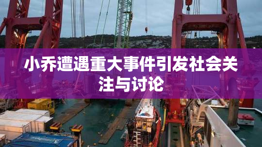小乔遭遇重大事件引发社会关注与讨论
