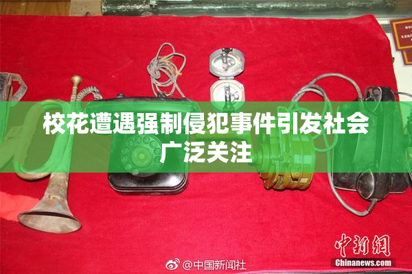 校花遭遇强制侵犯事件引发社会广泛关注