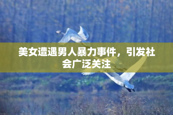 美女遭遇男人暴力事件，引发社会广泛关注