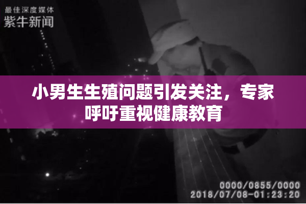 小男生生殖问题引发关注，专家呼吁重视健康教育