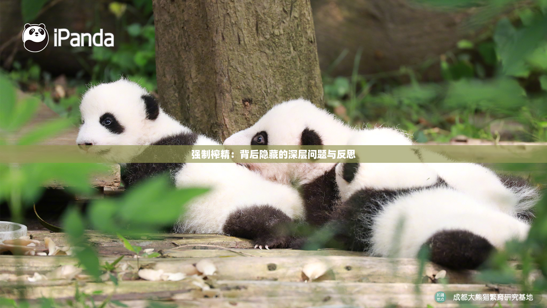 强制榨精：背后隐藏的深层问题与反思