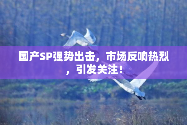国产SP强势出击，市场反响热烈，引发关注！