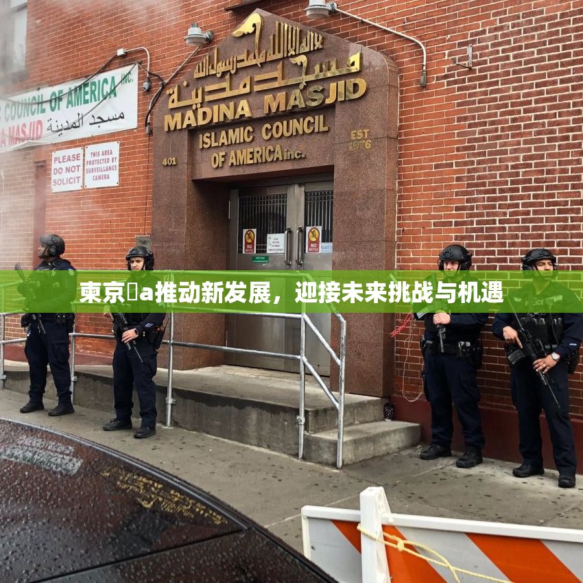 柬京埶a推动新发展，迎接未来挑战与机遇