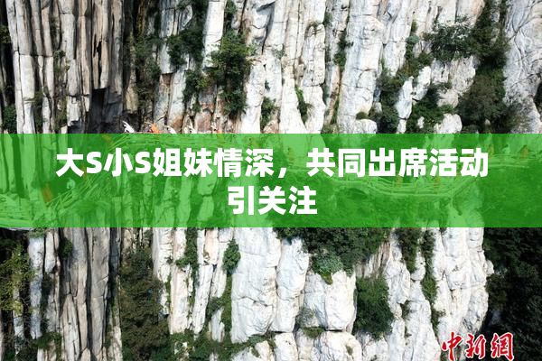 大S小S姐妹情深，共同出席活动引关注