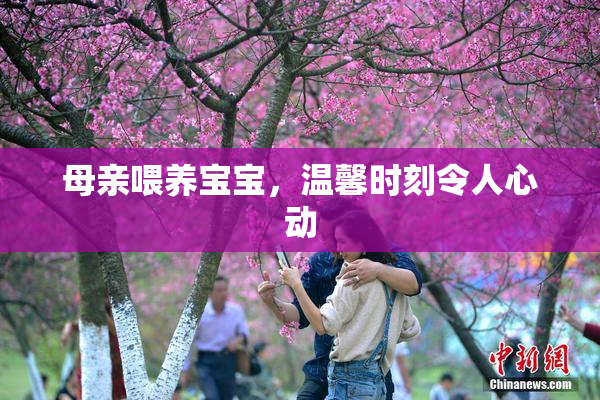 母亲喂养宝宝，温馨时刻令人心动