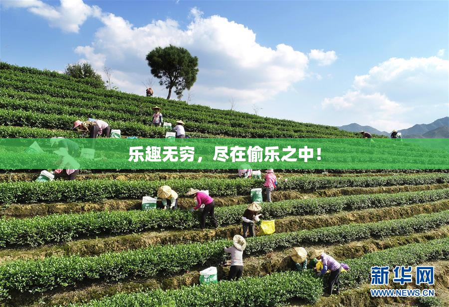 乐趣无穷，尽在偷乐之中！