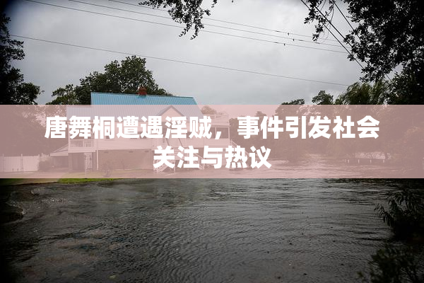 唐舞桐遭遇淫贼，事件引发社会关注与热议
