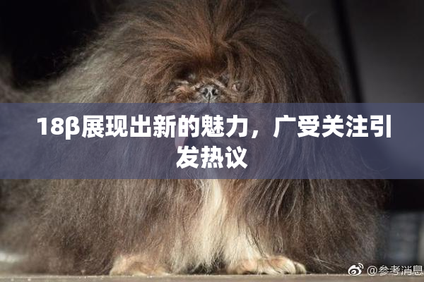 18β展现出新的魅力，广受关注引发热议