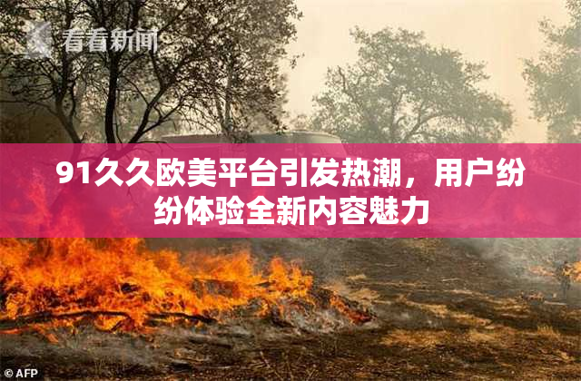91久久欧美平台引发热潮，用户纷纷体验全新内容魅力