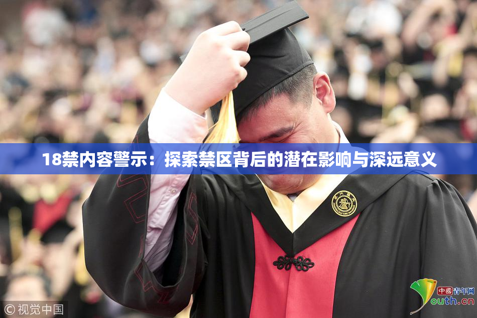 18禁内容警示：探索禁区背后的潜在影响与深远意义