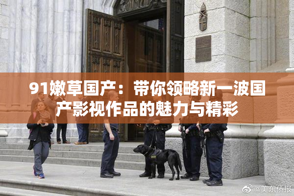 91嫩草国产：带你领略新一波国产影视作品的魅力与精彩