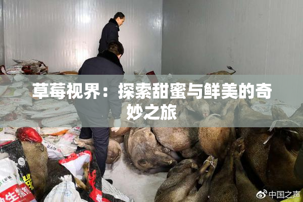 草莓视界：探索甜蜜与鲜美的奇妙之旅