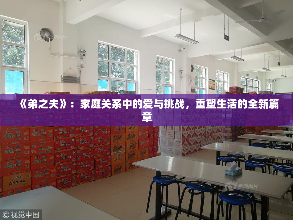 《弟之夫》：家庭关系中的爱与挑战，重塑生活的全新篇章