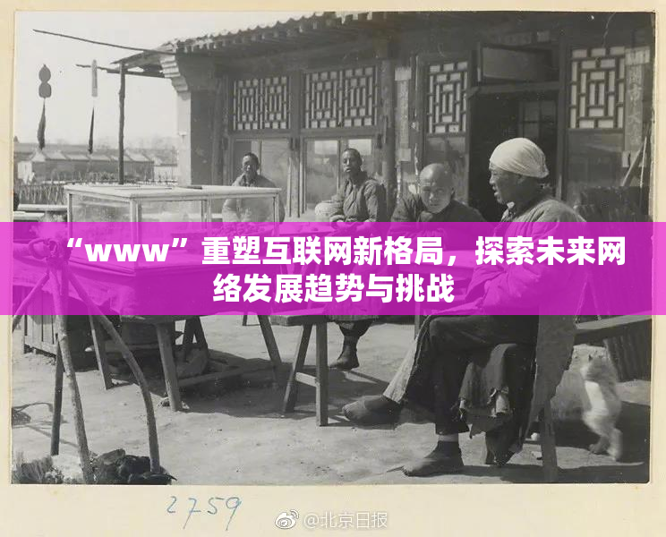 “www”重塑互联网新格局，探索未来网络发展趋势与挑战
